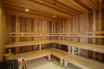 Dry sauna